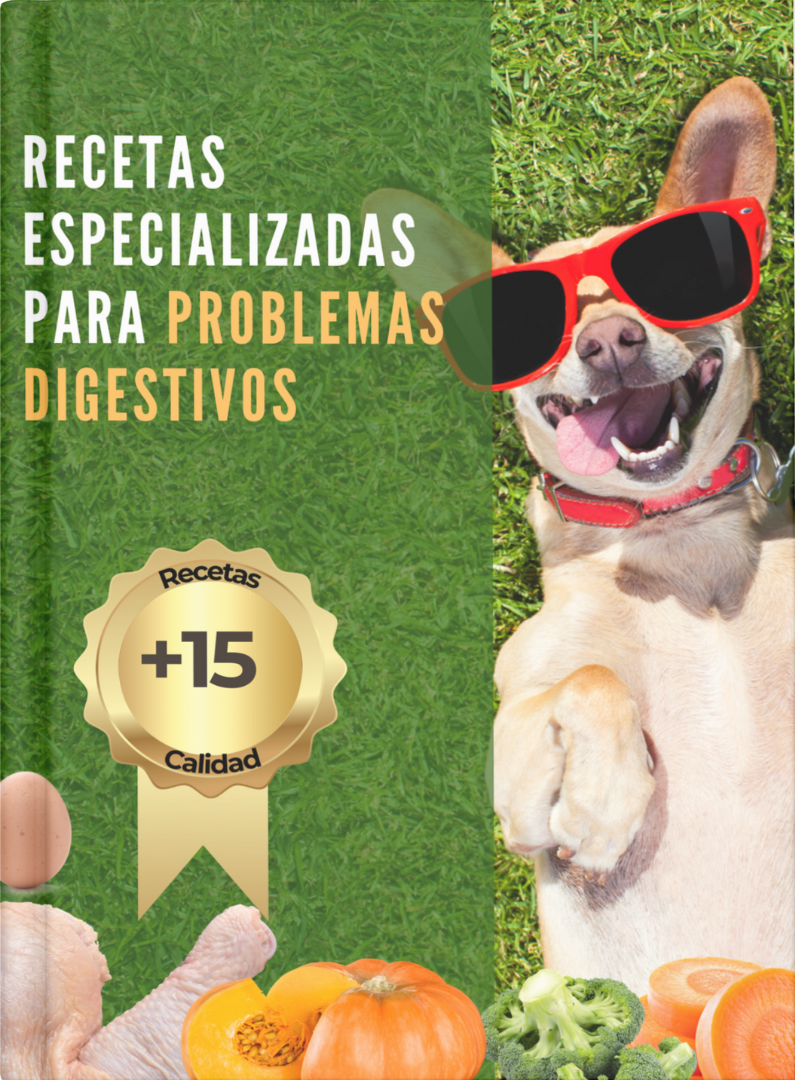 “Recetas Digestivas para Perros+15 comidas suaves y saludables”